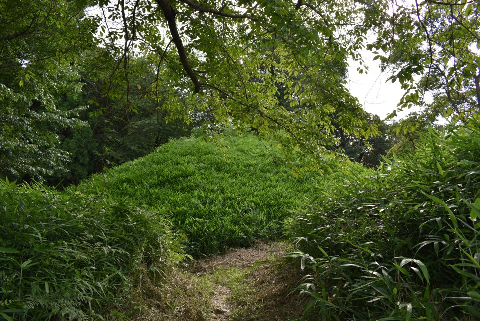a burial mound
